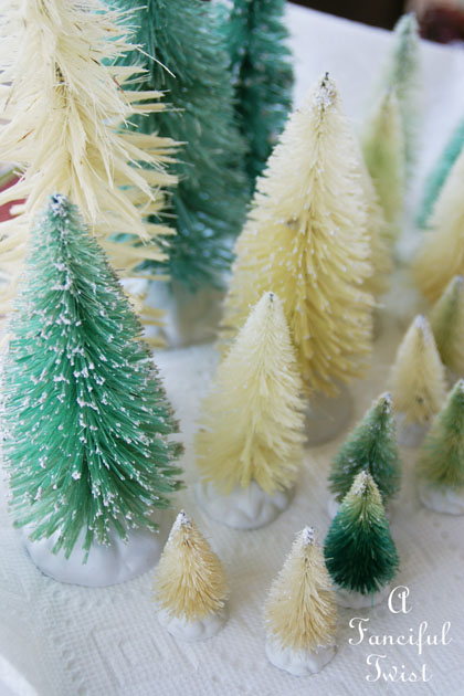 Bottle brush trees 7 Bottle brush trees 7