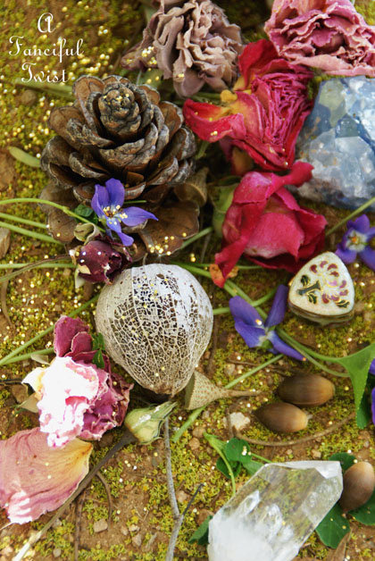 Fairy circle 6 Fairy circle 6