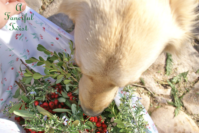 Holiday 2013 18 Holiday 2013 18