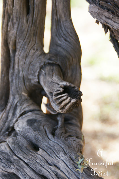 Little hands coming out of the wood 5 Little hands coming out of the wood 5