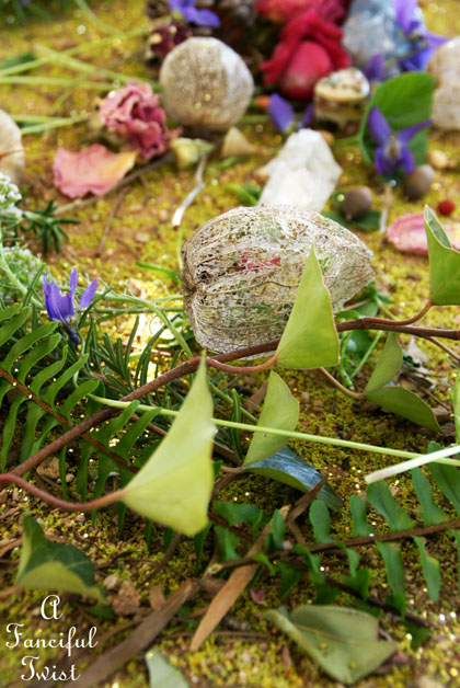 Fairy circle 3 Fairy circle 3