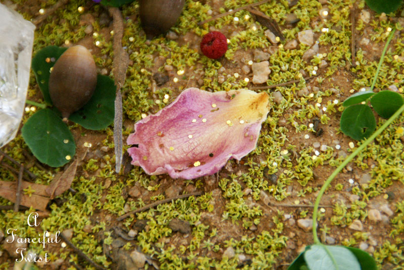 Fairy circle 4 Fairy circle 4