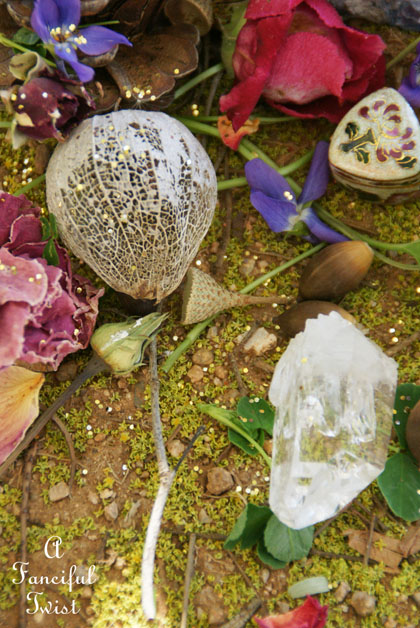 Fairy circle 18 Fairy circle 18