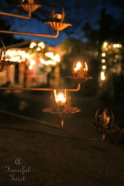 Gypsy garden 3 Gypsy garden 3