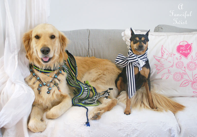 Kool and the gang 7 Kool and the gang 7