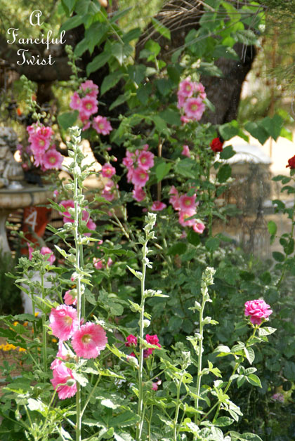 Vanessa valencia garden 8 Vanessa valencia garden 8