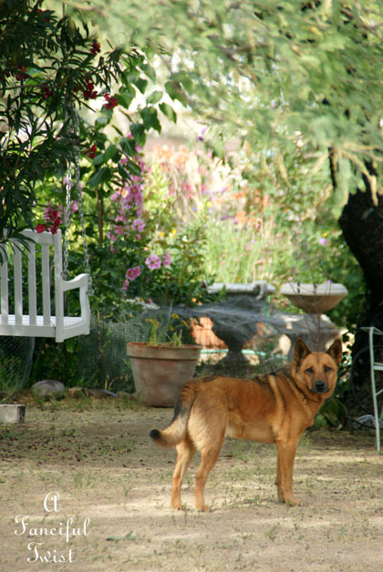 Vanessa valencia garden 15 Vanessa valencia garden 15