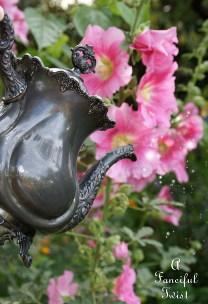 Vanessa valencia garden 19 Vanessa valencia garden 19