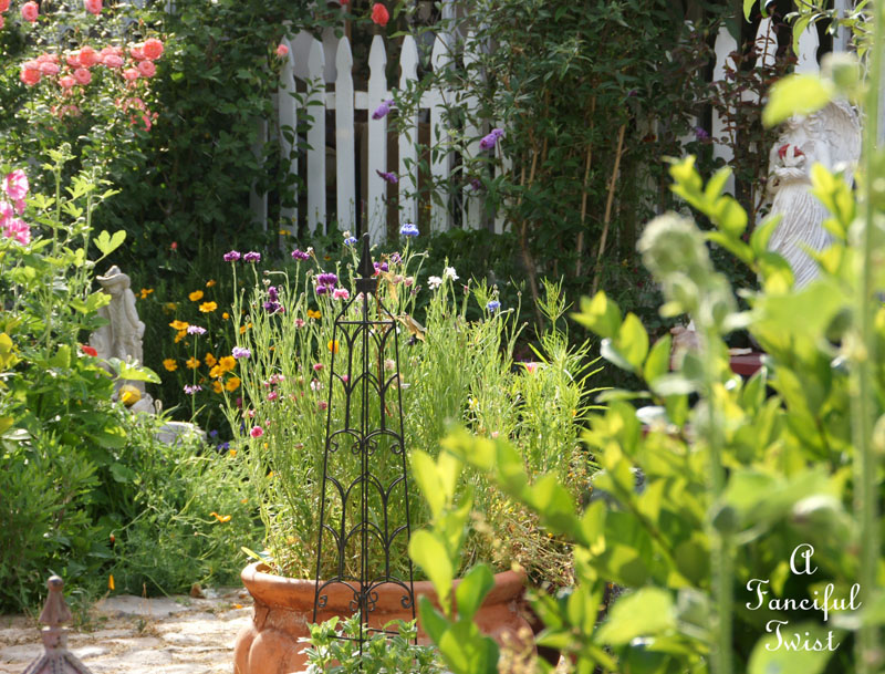 Vanessa valencia garden 5 Vanessa valencia garden 5