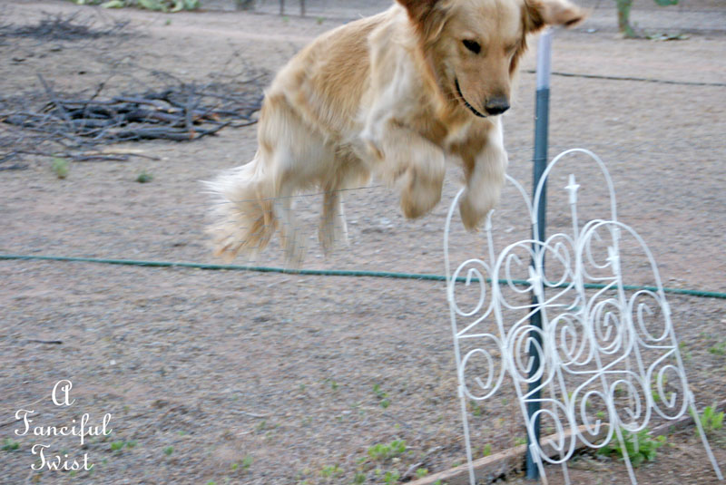 Super Miles 35 Super Miles 35