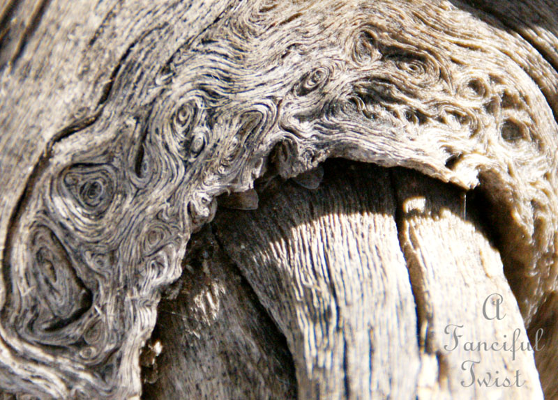 Little hands coming out of the wood 8 Little hands coming out of the wood 8