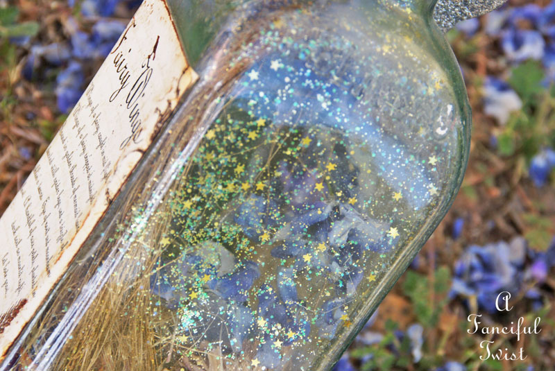 Wisteria 16 Wisteria 16