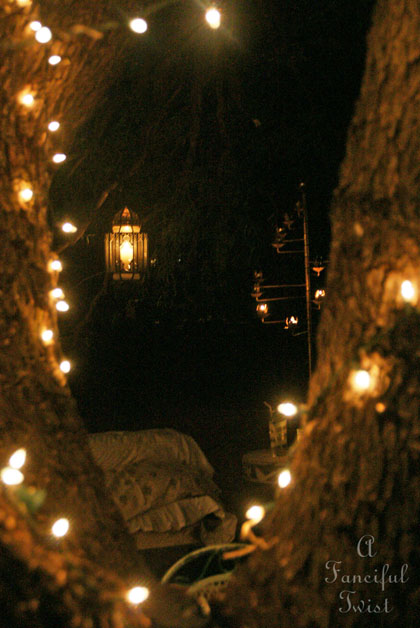 Gypsy garden 4 Gypsy garden 4