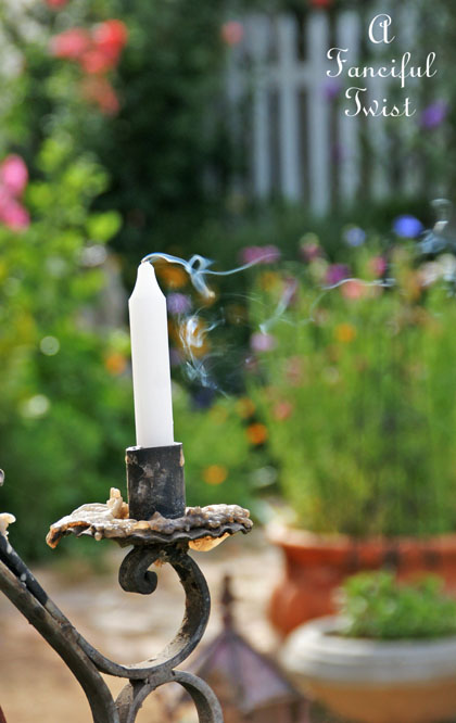 Vanessa valencia garden 22 Vanessa valencia garden 22