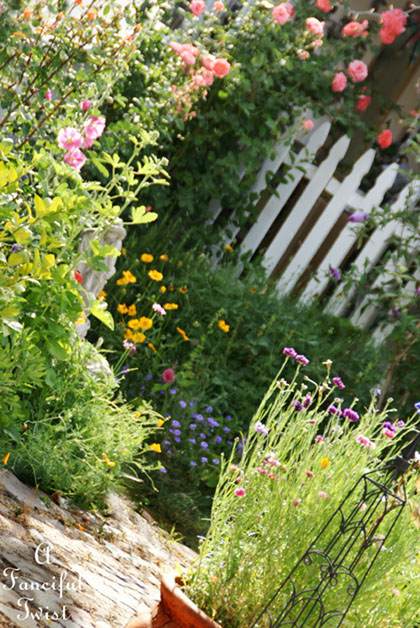 Vanessa valencia garden 1 Vanessa valencia garden 1