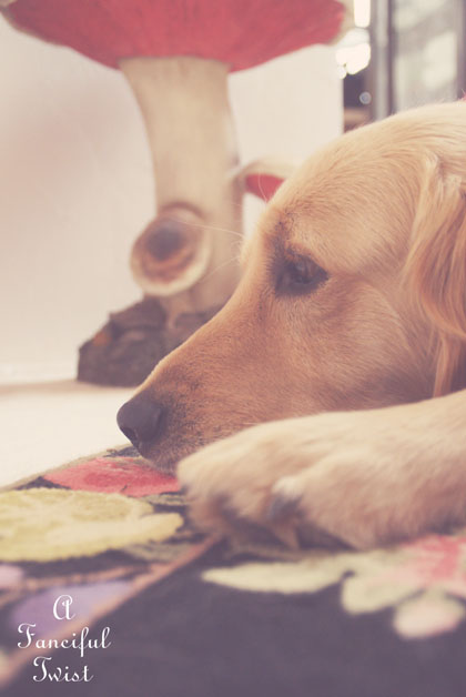 Gloves and books 14 Gloves and books 14