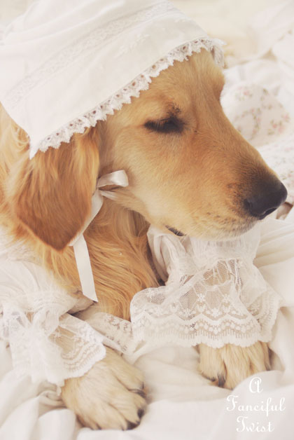 Nanny buttoncap 6 Nanny buttoncap 6