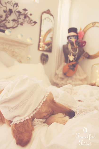 Nanny buttoncap 9 Nanny buttoncap 9