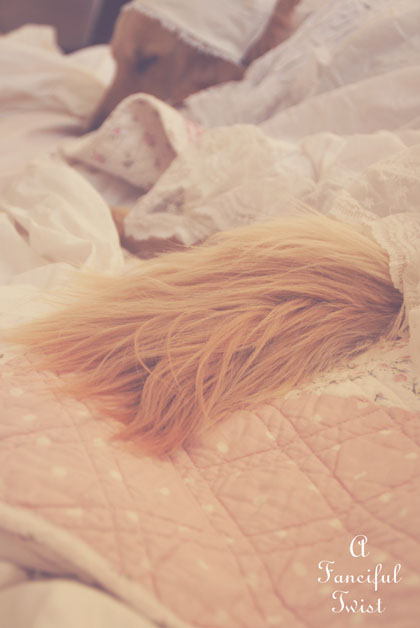 Nanny buttoncap 12 Nanny buttoncap 12