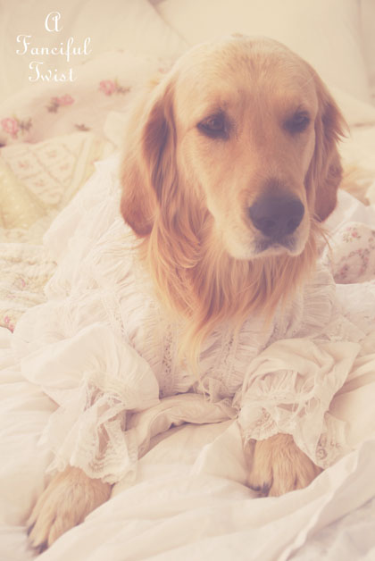 Nanny buttoncap 5 Nanny buttoncap 5