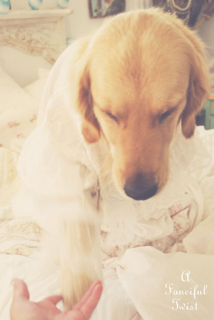 Nanny buttoncap 4 Nanny buttoncap 4