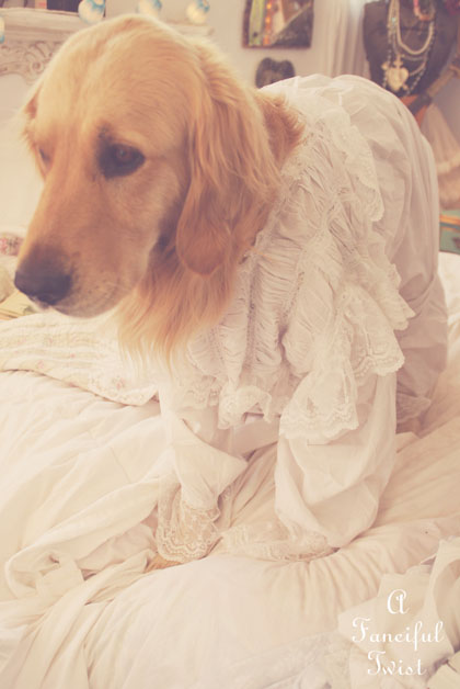 Nanny buttoncap 13 Nanny buttoncap 13