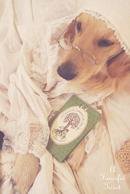 Nanny buttoncap 11 Nanny buttoncap 11