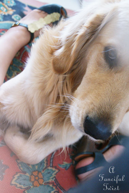 Gypsy fun 10 Gypsy fun 10