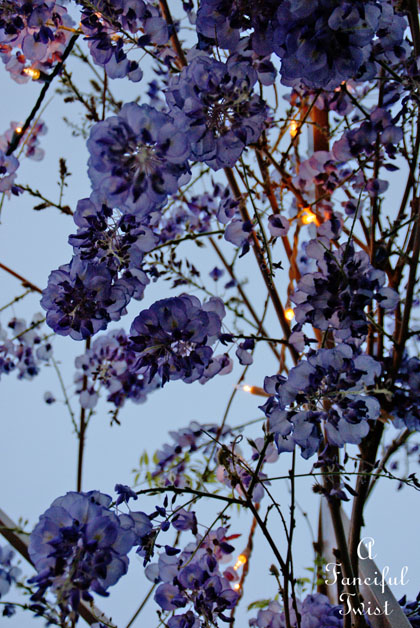 Wisteria 10 Wisteria 10