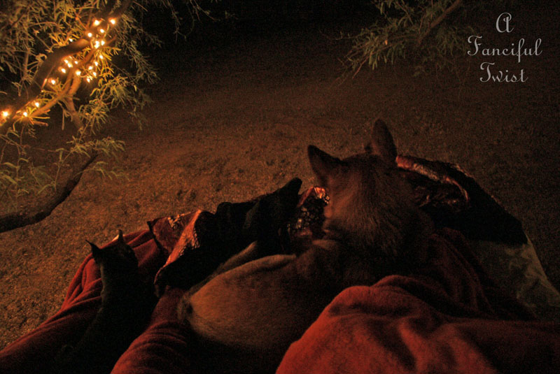 Gypsy garden 12 Gypsy garden 12