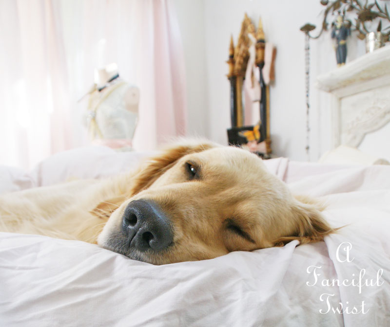 Paper dress 22 Paper dress 22