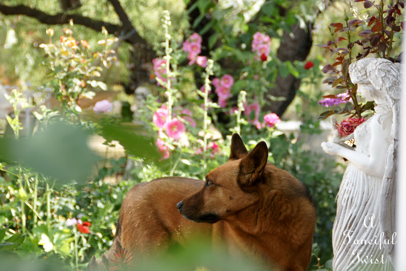 Vanessa valencia garden 6 Vanessa valencia garden 6