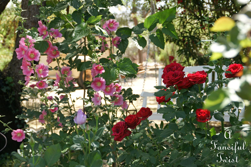 Vanessa valencia garden 11 Vanessa valencia garden 11