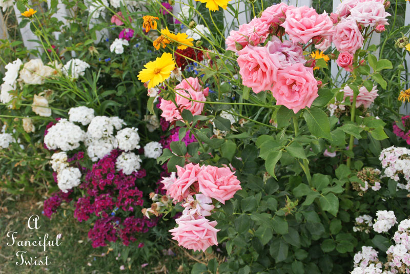 Vanessa valencia garden 13 Vanessa valencia garden 13