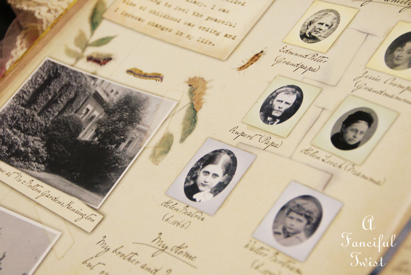 Gloves and books 17 Gloves and books 17