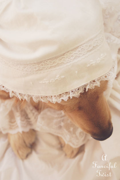 Nanny buttoncap 1 Nanny buttoncap 1