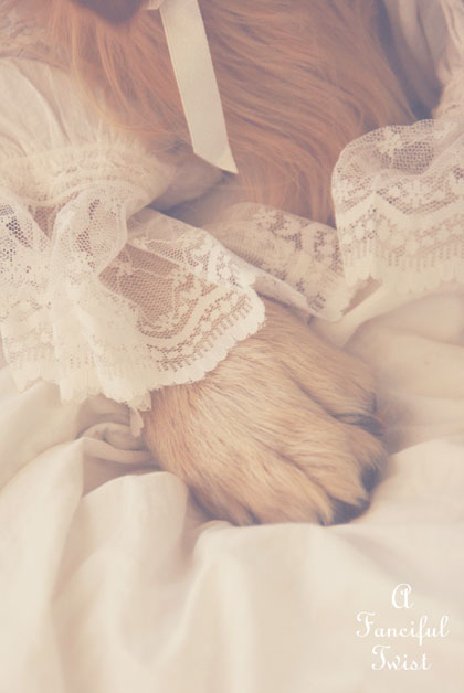 Nanny buttoncap 3 Nanny buttoncap 3