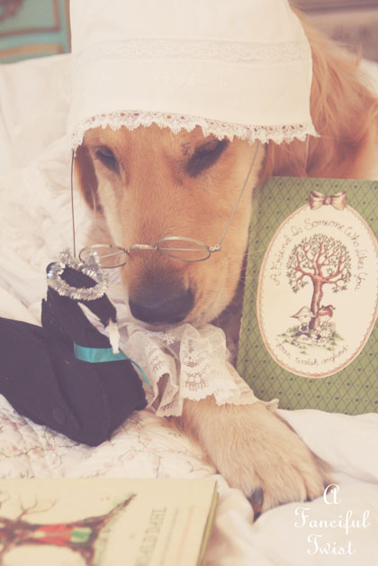 Nanny buttoncap 8 Nanny buttoncap 8