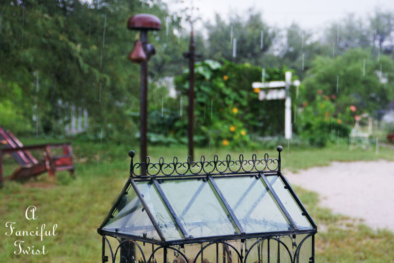 Rainy day 7 Rainy day 7