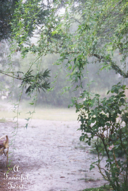 Rainy day 5 Rainy day 5