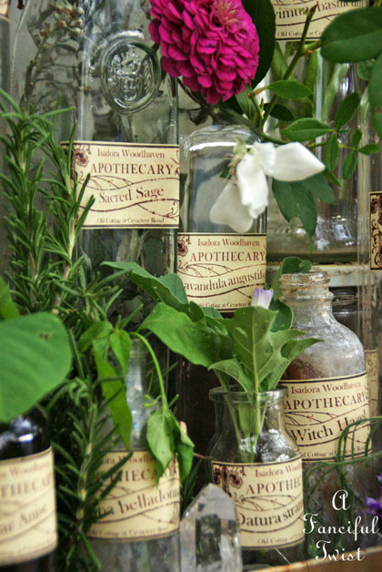 Apothecary spell potion labels 27 Apothecary spell potion labels 27
