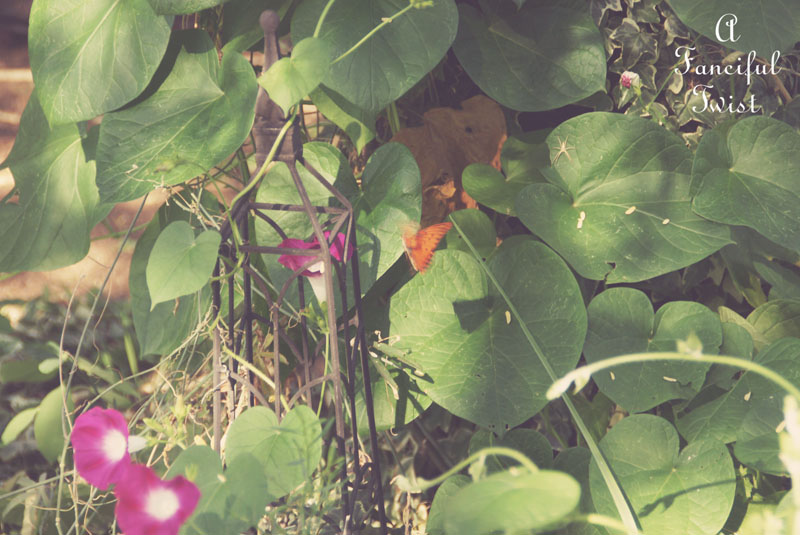 Hello september 13 Hello september 13