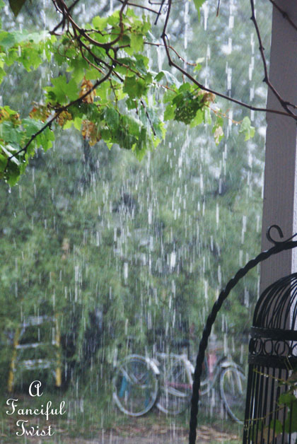 Rainy day 6 Rainy day 6