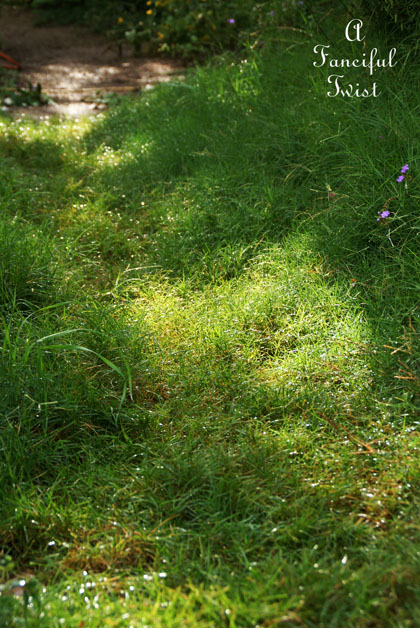 Autumn days 6 Autumn days 6