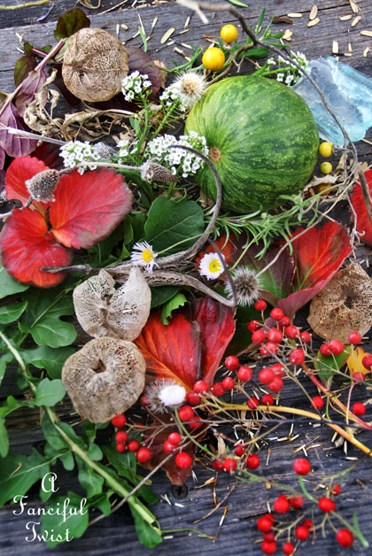 Winter garden 5 Winter garden 5