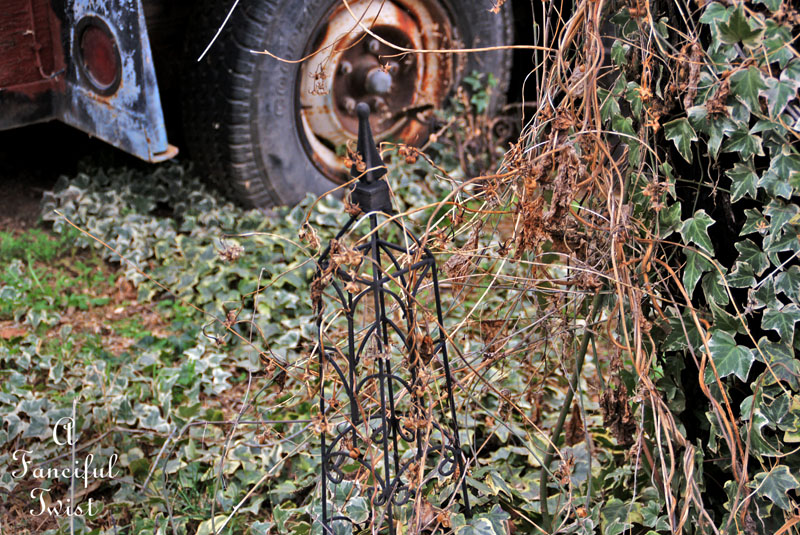 Winter garden 16 Winter garden 16