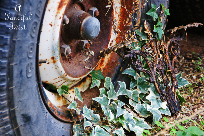 Winter garden 17 Winter garden 17