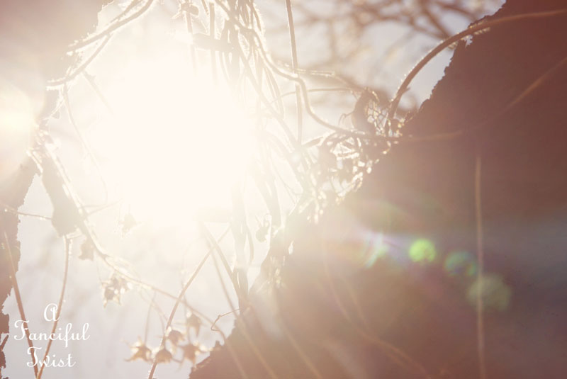 Spring things 12 Spring things 12