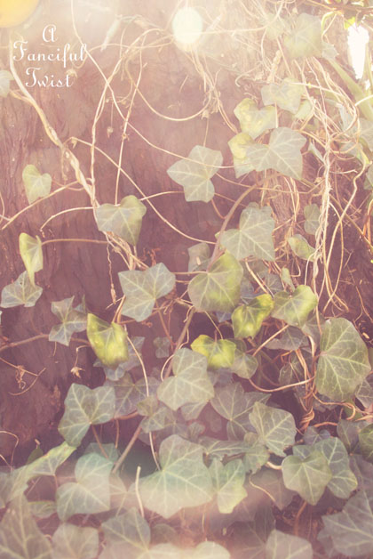 Spring things 13 Spring things 13