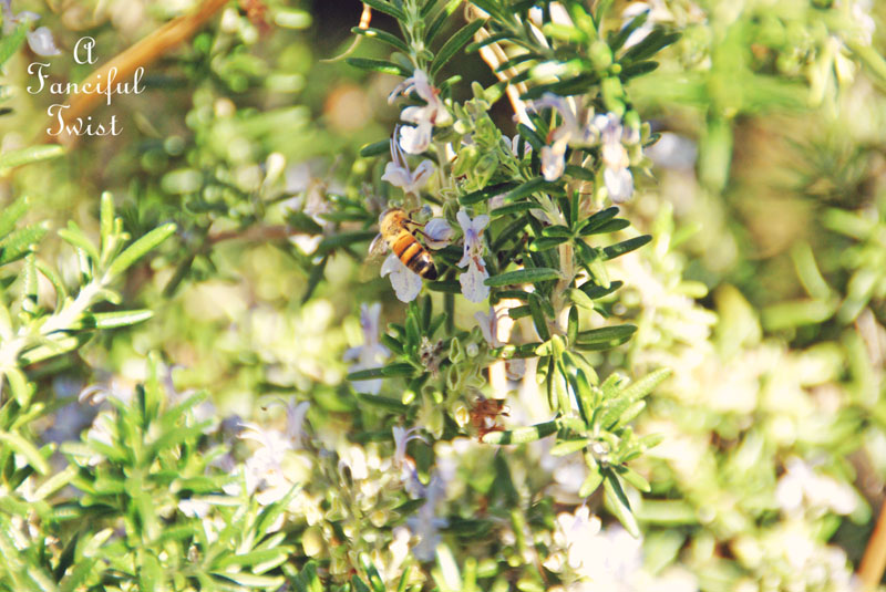 Spring things 10 Spring things 10